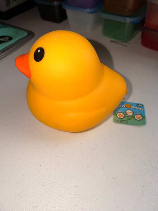 Duck Squishy